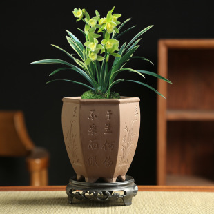 ��ɰ������ö��⻨����������С��������ѩ�辰��[�����бP��}