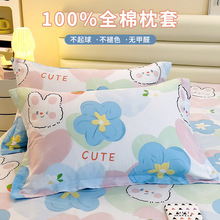 ȫ������һ���b48x74cm�������^��đ�ּ�����о�׼Ӻ��̖����2ֻ