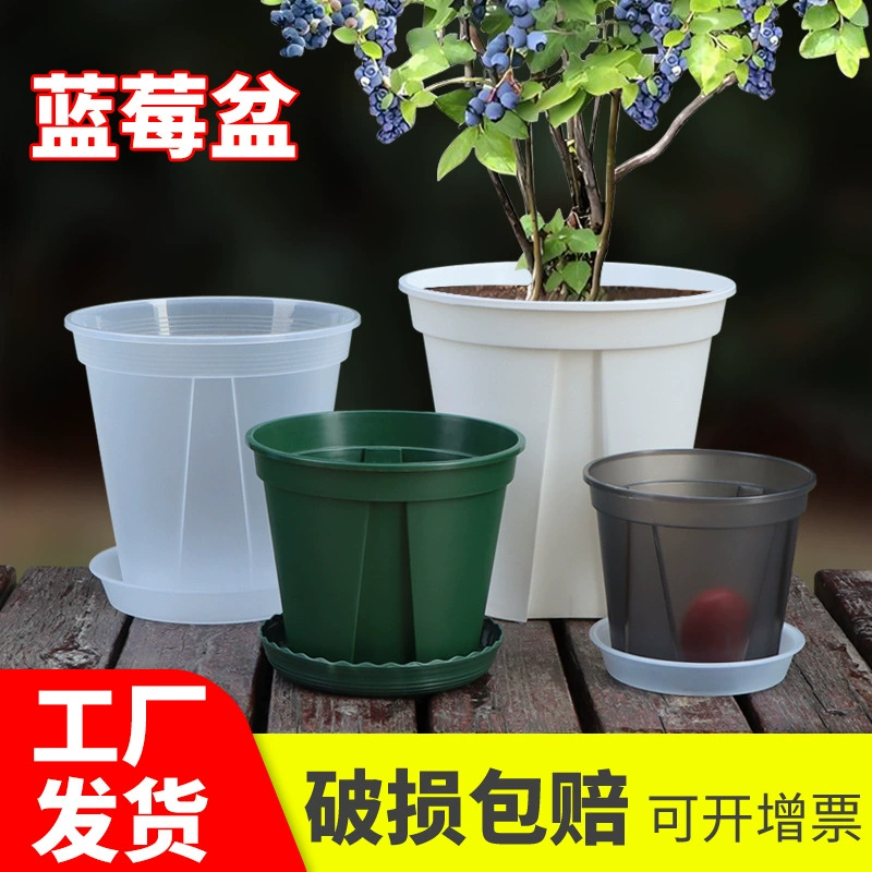 Черничный горшок для посадки большой дышащий корневой бассейн прозрачный зеленый горшок роза горшок садоводство горшок смола горшок цветочный горшок оптом