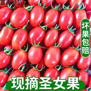 �Fժ�}Ů��С���t�����r�߲˙���С���ѷ�ǧ��С����ˮ���羳���