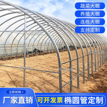 ҴǼ䓹ܼ߲˷NֲB䓼ܴBֳȫBi