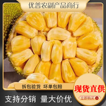 海南新鲜黄肉菠萝蜜水果当季水果25斤黄肉干苞靓果一件代发仓库供