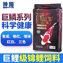 神阳巨鳞锦鲤饲料鱼食育成增体艳红10kg增大骨骼色扬户外鱼池鱼粮