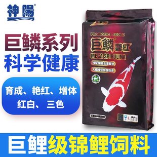 Shenyang Giant Scale Koi Feed Fish Food Breeding and Body Bright Red 10kg Increase Bone Color Outdoor Fish Pond Fish Food