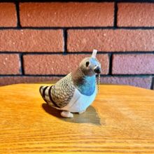 �F؛�ɐ�����ë�q���В�������������ë�q�����ż����ץ�C����