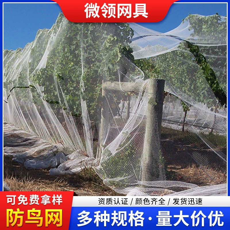 Птичья сетка спот яблоневый сад виноградная лоза вишневый сад Птичья сетка полиэтилен пэ белая сеть против птиц