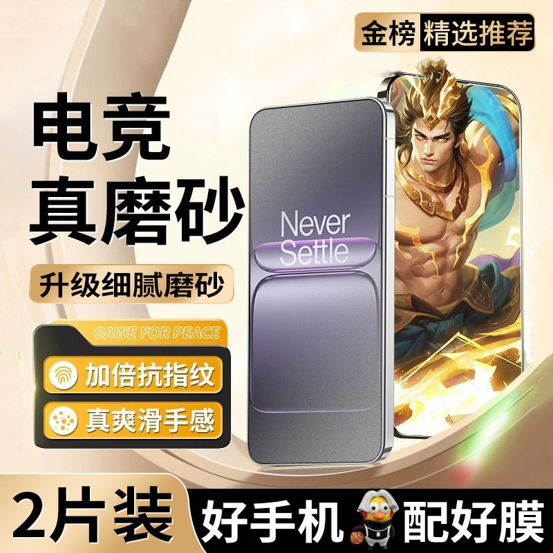 Suitable for Oneplus Ace5 Supreme Version Frosted Tempered Film 1+13t Mobile Phone Film Ace5/3/2Pro Curved Screen 13/12/