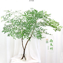 ˮˮBԵRRľƽr҃GֲBֲ