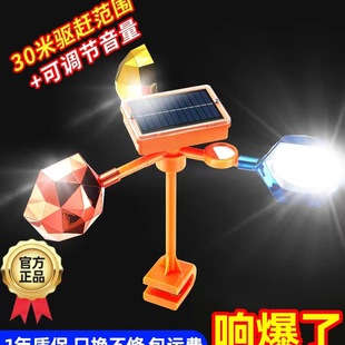 ��B����2025���¿�̫��������@�r���з�����B�s�B���B����ˮ