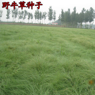 ���l���|��ƺ�N�� Ұţ�ݷN�� �����x�׷Nֲ ��ĥ���`̤���}�|