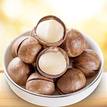 新货夏威夷果带壳送开口器奶油味休闲食品坚果干果零食小吃年货