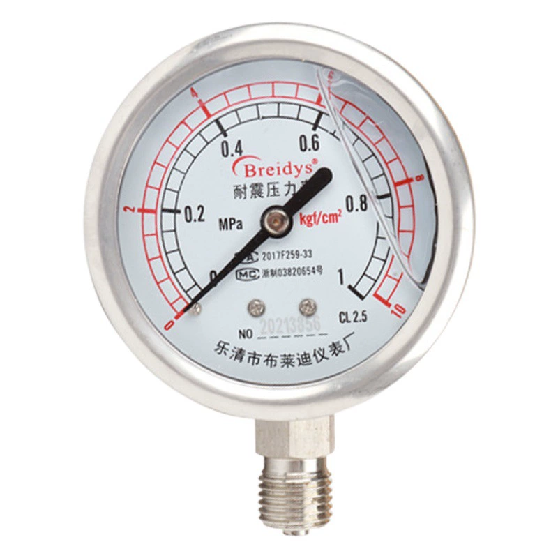 Манометр YN60BF все из нержавеющей стали ударопрочный манометр 304 материал коррозионно-стойкие высокая термостойкость гидравлическое давление воды давление