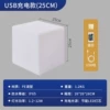 Charging model 25cm