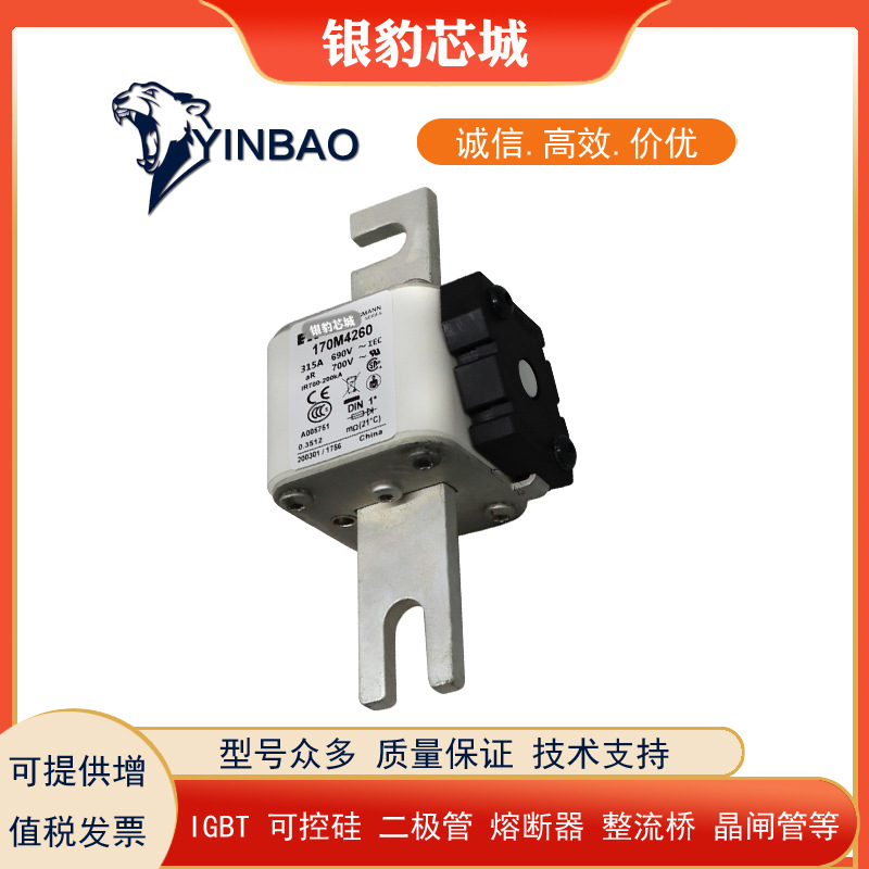 170M4258 170M4259 170M4260 170M4261 170M4262 170M4263熔断器