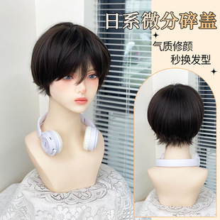 Zhou Li wig short straight hair natural color daily boys styling cos universal dk gay hair in stock wholesale