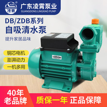 凌霄水泵1DZB-35/45/65污水泵自来水井220V泵变频增压泵自吸式