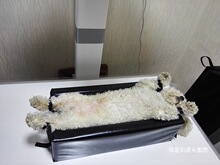 �|�����X�⌙��|V�ͳ��|�๦��dr�[λU�͔[λ�|����X��DR��