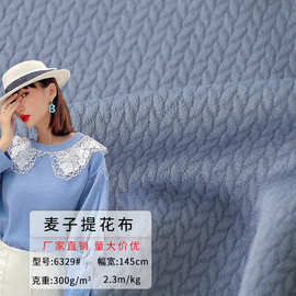 麦穗条300g夹棉提花家居用品抱枕布料 坠感蓬松提花穗条针织面料