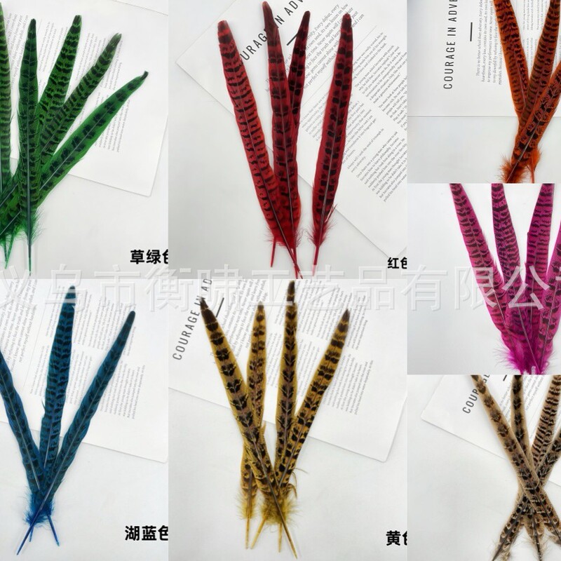 染色彩色羽毛母山鸡尾野鸡毛DIY手工制作婚庆舞台材料服饰配件|undefined