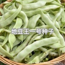 �ض���һ̖�N�����쌒�v��ɏ���ⶹ�N�џo�ܶ��Ǹ߮a��������