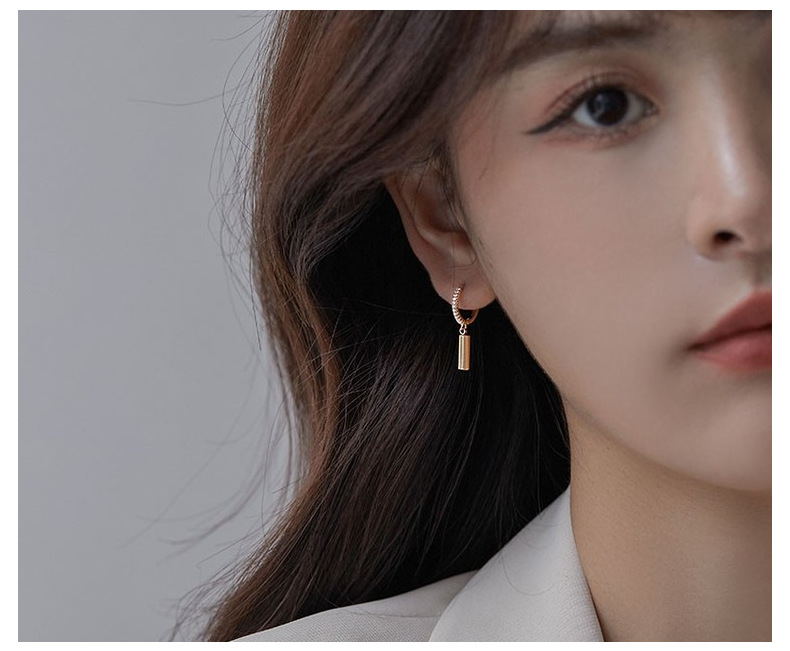 Women's Gender Polished Finish 1 Pair Simple Style Geometric Plating Copper Zircon Drop Earrings