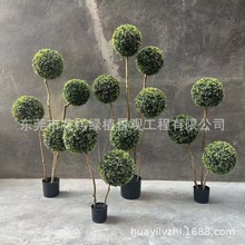 仿真柏树球 小叶女贞球树仿真棒棒糖球树球型植物盆栽高端落地摆
