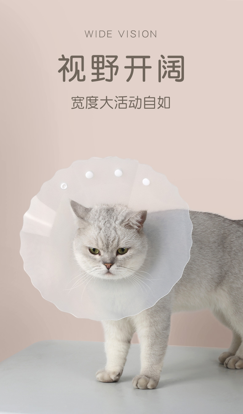 波浪伊丽莎白圈_05