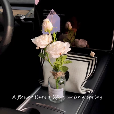 Car ornaments – Cross-Border Car Ornaments, High-End