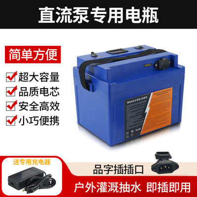 Портативные дорожные литиевые батарейки с зарядкой, 12v, 20AH, 24v