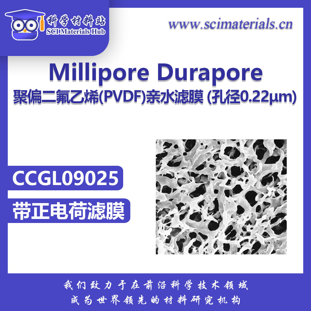 Millipore密理博Durapore CCGL09025 带电聚偏二氟乙烯亲水滤膜