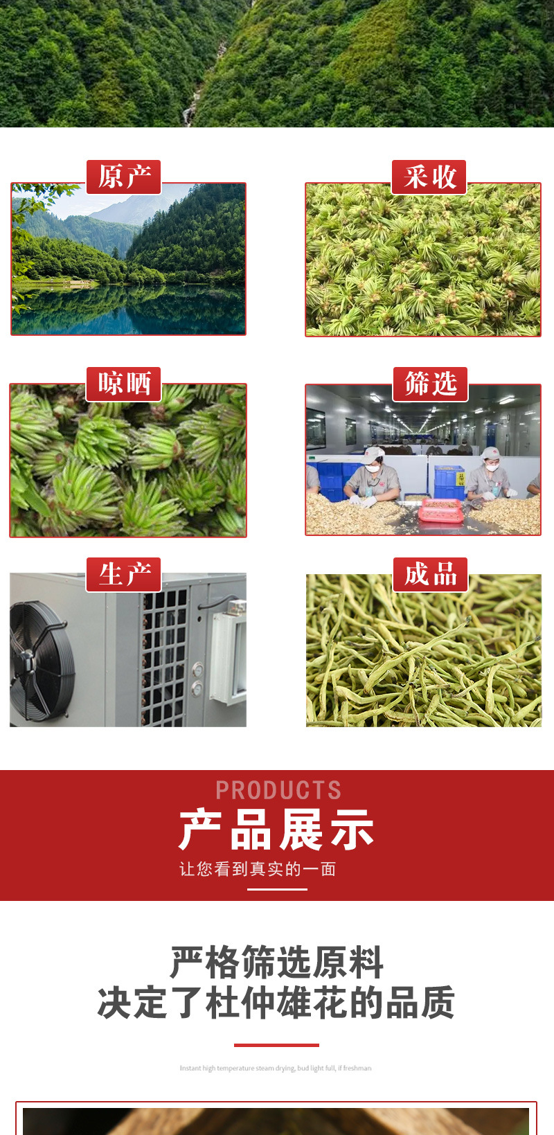 Eucommia Male Flower Tea (Eucommia ulmoides) — Dried Flower Buds, 500g Bulk Loose Leaf specifications