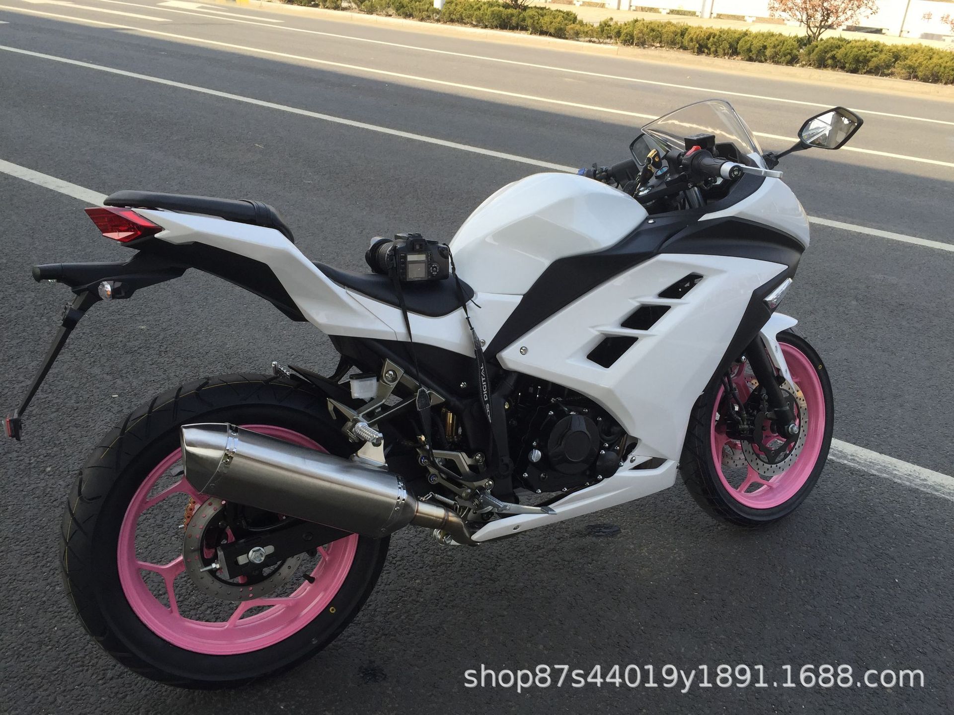 License-able motorcycle Kawasaki Ninja, twin-cylinder racing replica, Horizon sportbike, adult gasoline-powered sportbike, complete vehicle