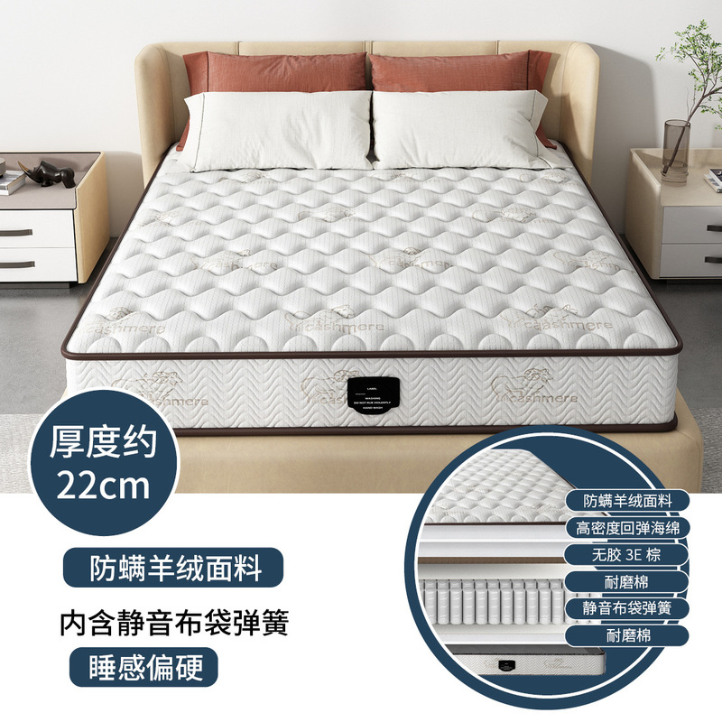 席梦思床垫家用卧室独立软垫弹簧床垫20cm厚1.5米租房专用硬椰棕|undefined