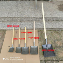 ɳСPӃͯСFPBF@rô̖ʺPP