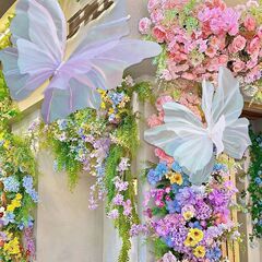 3 立体蝶結婚式の部屋の装飾花屋内写真撮影ウィンドウ装飾品壁の装飾カラフルな蝶猫