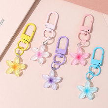 ��ɫ͸��С����耳׿� Ůins�L�ɐ�耳ג���������Ʒ���C���b�