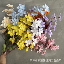 ����ˮ�ɻ� ��֦ ��c�zӰ�Ҿ��b[��·���廨���Ž����S�����l