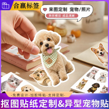 ���D�N�����Ɓ�D��������������Ƭ��ͨģ�в����z��Ԯ���~�N��