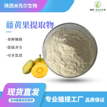 藤黄果提取物60% 羟基柠檬酸 源头厂家直供 现货包邮 可寄样品