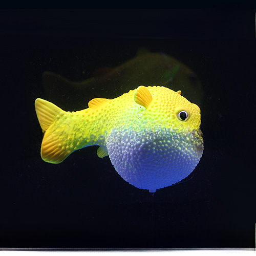 魚缸塑料假魚 水族裝飾仿真魚 夜光仿真小河豚魚 三種顏色