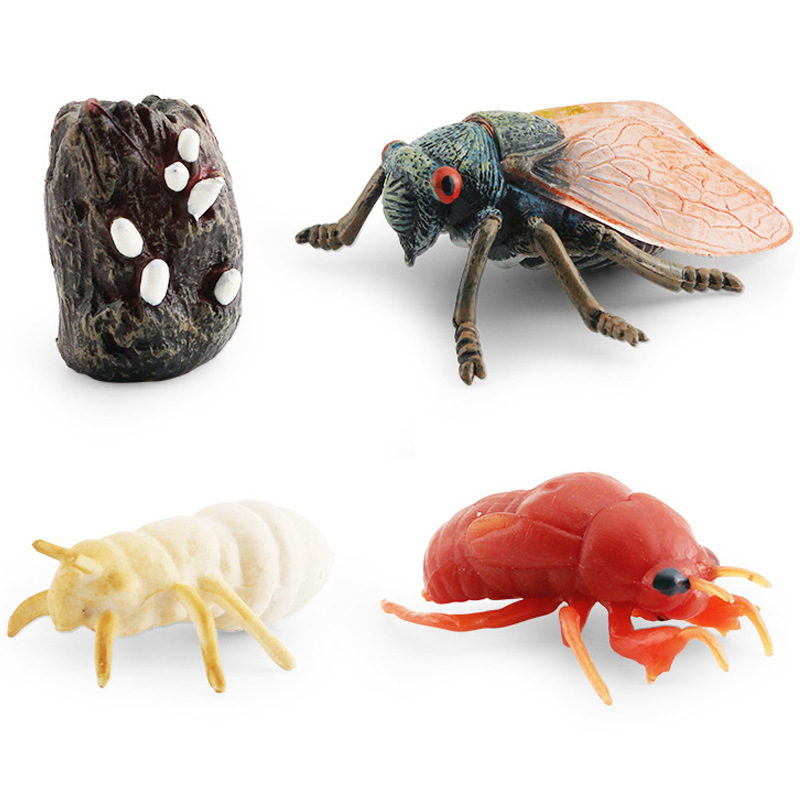 Transfronteriza simulación mini traje de insectos saltamontes abeja Araña ciclo de crecimiento etapa de vida cognitiva modelo de juguete