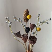 �S�����l ��Ȼ�ɹ��ɻ��ɹ� ���ɏ��Ǭ�ﻨ���W�Ӽ��b[��