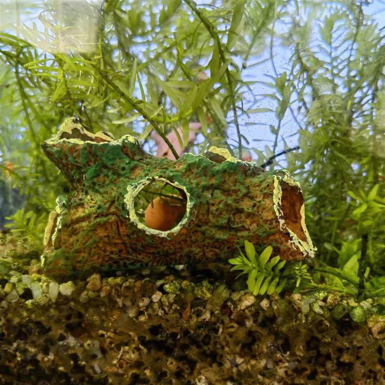 O1CN01kwZxq21T8qoNsHqWt_!!2214