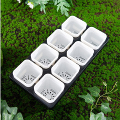 8孔托架蓄水多肉花盆塑料托架黑白特小號特厚淺方八孔固定托盤