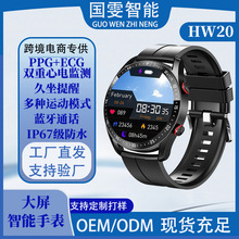 �羳˽ģhw20gt2�\���L�����ֱ�Ѫ��Ѫ�����ʱO�ygt2������GT4