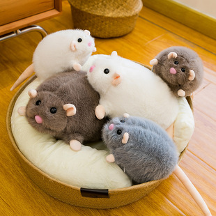 С�t�����֦��ë�q��߾W�t����������ż��Ů�ѿ͏d�[������