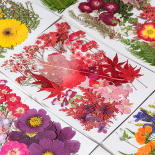 ��Ȼ�ɻ�����diy�ֹ����ϰ����~�滨����ֲ��˱����̨���b�Ʒ
