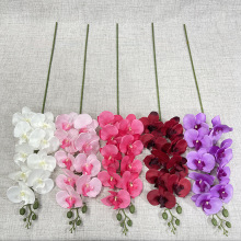 9�^�\�h�����m ���滨 ��c��Y�þӼ��bٻ� ���l