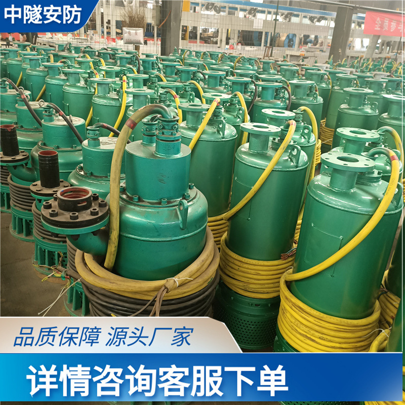 煤矿隔爆型潜水排沙电泵 井下水力发电专用泵 隔爆型潜水泵