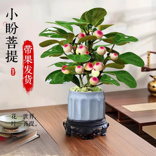 С������Gֲ���Ԏ������辰������մɻ�����ʽ�U������[�����B